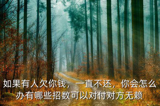 如果有人欠你錢，一直不還，你會(huì)怎么辦有哪些招數(shù)可以對(duì)付對(duì)方無(wú)賴