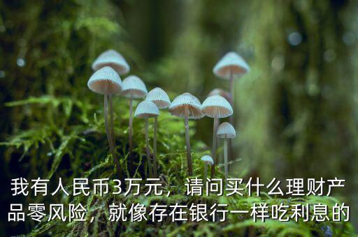 我有人民幣3萬元，請問買什么理財產品零風險，就像存在銀行一樣吃利息的