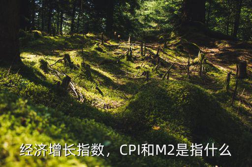 經(jīng)濟增長指數(shù)，CPI和M2是指什么