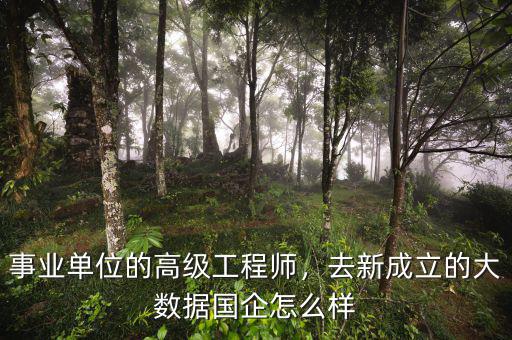 事業(yè)單位的高級工程師，去新成立的大數(shù)據(jù)國企怎么樣
