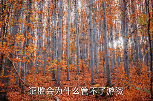 現貨市場為什么不由證監(jiān)會監(jiān)管,證監(jiān)會為什么管不了游資