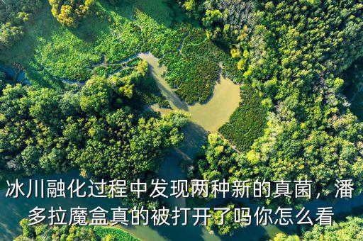 冰川融化過程中發(fā)現(xiàn)兩種新的真菌，潘多拉魔盒真的被打開了嗎你怎么看