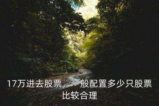 17萬進去股票，一般配置多少只股票比較合理