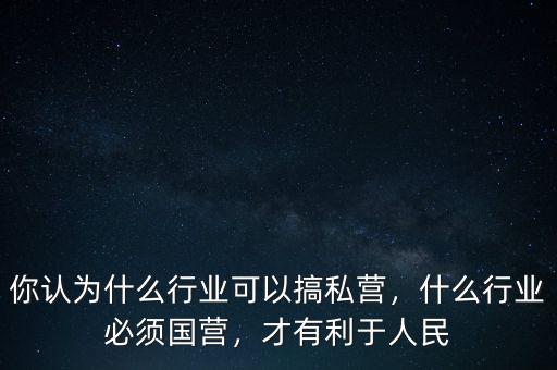 你認為什么行業(yè)可以搞私營，什么行業(yè)必須國營，才有利于人民