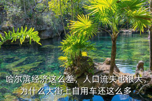 哈爾濱經(jīng)濟(jì)這么差，人口流失也很大，為什么大街上自用車還這么多