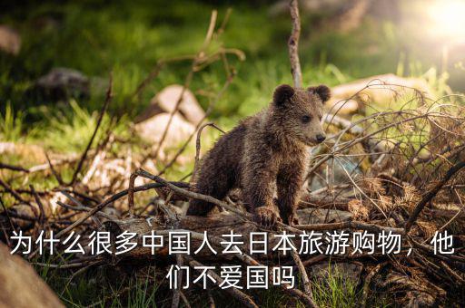 為什么很多中國人去日本旅游購物，他們不愛國嗎