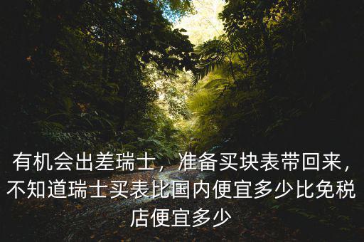 有機(jī)會(huì)出差瑞士，準(zhǔn)備買(mǎi)塊表帶回來(lái)，不知道瑞士買(mǎi)表比國(guó)內(nèi)便宜多少比免稅店便宜多少