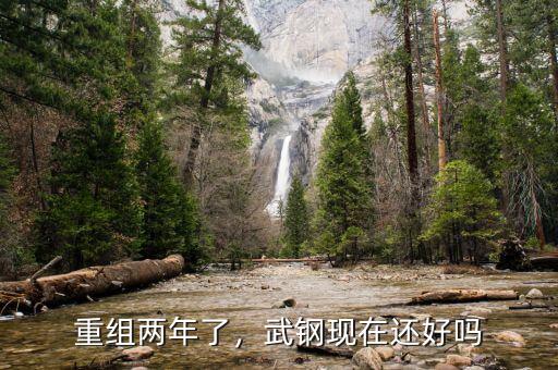 重組兩年了，武鋼現(xiàn)在還好嗎
