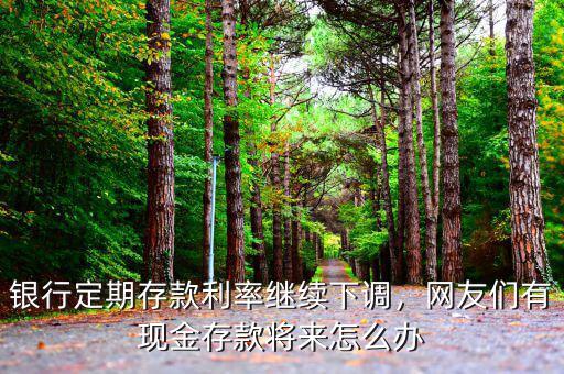 銀行定期存款利率繼續(xù)下調(diào)，網(wǎng)友們有現(xiàn)金存款將來怎么辦