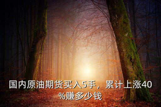 國內(nèi)原油期貨買入5手，累計上漲40%賺多少錢