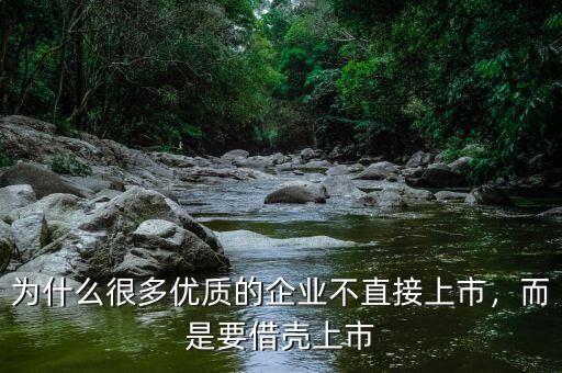 為什么很多優(yōu)質(zhì)的企業(yè)不直接上市，而是要借殼上市