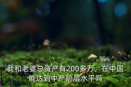 我和老婆總資產(chǎn)有200多萬，在中國能達(dá)到中產(chǎn)階層水平嗎