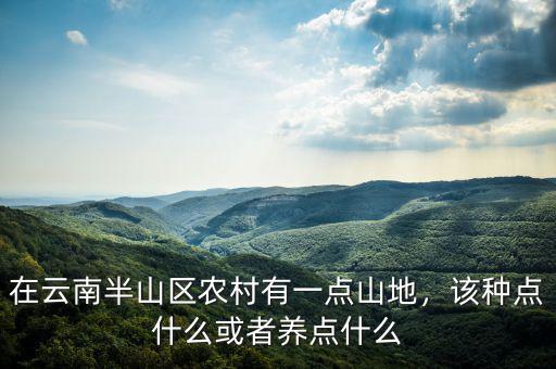 在云南半山區(qū)農(nóng)村有一點山地，該種點什么或者養(yǎng)點什么