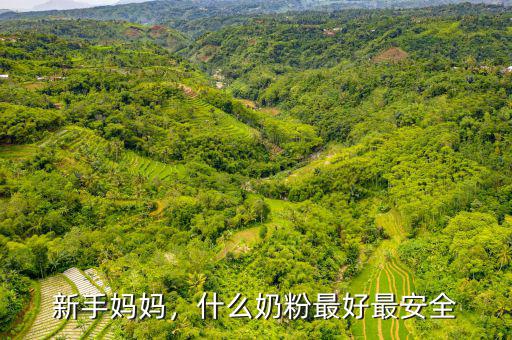 新手媽媽，什么奶粉最好最安全