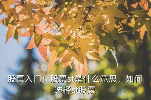 股票入門：股票st是什么意思，如何選擇st股票