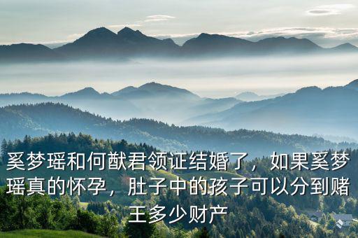 奚夢瑤和何猷君領(lǐng)證結(jié)婚了，如果奚夢瑤真的懷孕，肚子中的孩子可以分到賭王多少財(cái)產(chǎn)