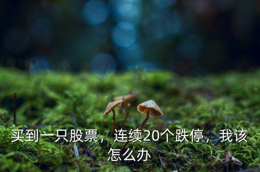 買到一只股票，連續(xù)20個(gè)跌停，我該怎么辦
