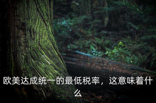 歐美達(dá)成統(tǒng)一的最低稅率，這意味著什么