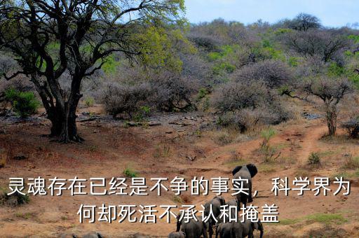 靈魂存在已經(jīng)是不爭(zhēng)的事實(shí)，科學(xué)界為何卻死活不承認(rèn)和掩蓋