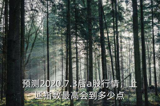 預(yù)測(cè)2020.7.3后a股行情，上證指數(shù)最高會(huì)到多少點(diǎn)