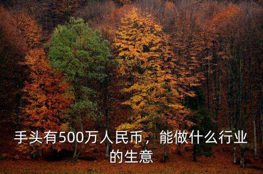 手頭有500萬人民幣，能做什么行業(yè)的生意
