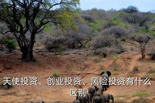天使投資、創(chuàng)業(yè)投資、風(fēng)險(xiǎn)投資有什么區(qū)別