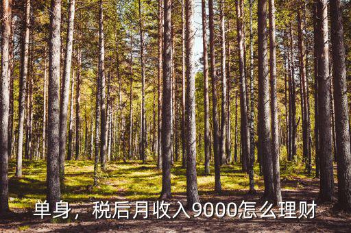 單身，稅后月收入9000怎么理財