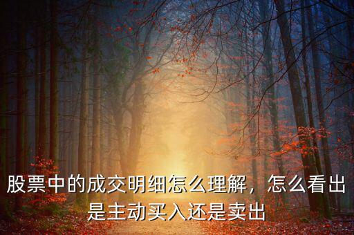 股票中的成交明細怎么理解，怎么看出是主動買入還是賣出