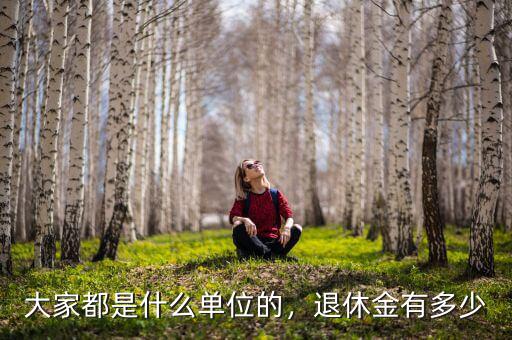 大家都是什么單位的，退休金有多少