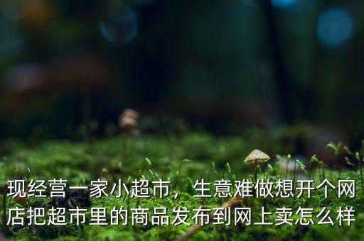 現(xiàn)經(jīng)營一家小超市，生意難做想開個網(wǎng)店把超市里的商品發(fā)布到網(wǎng)上賣怎么樣