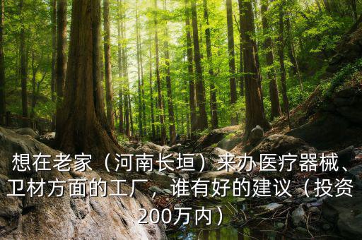 想在老家（河南長(zhǎng)垣）來辦醫(yī)療器械、衛(wèi)材方面的工廠，誰有好的建議（投資200萬內(nèi)）