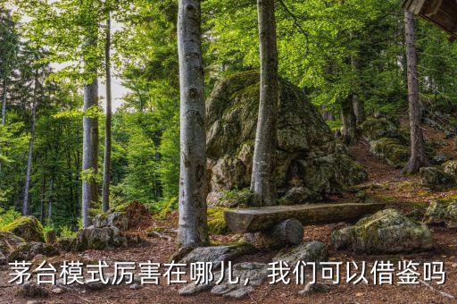 茅臺模式厲害在哪兒，我們可以借鑒嗎