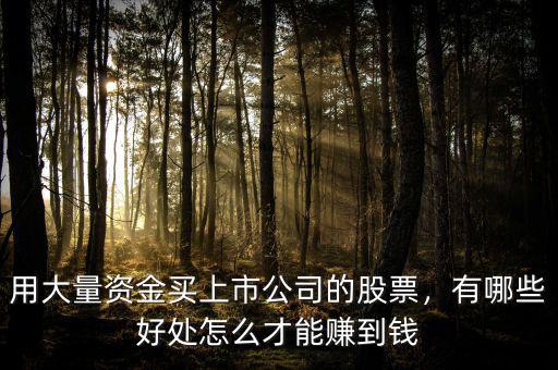 用大量資金買上市公司的股票，有哪些好處怎么才能賺到錢