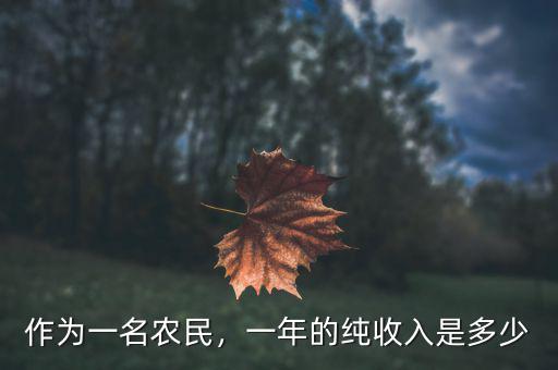 作為一名農(nóng)民，一年的純收入是多少