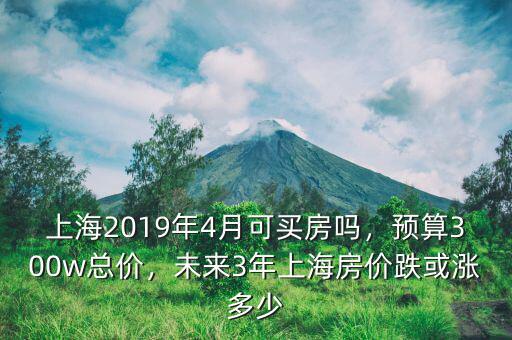 上海2019年4月可買房嗎，預(yù)算300w總價(jià)，未來3年上海房價(jià)跌或漲多少