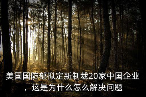 美國(guó)國(guó)防部擬定新制裁20家中國(guó)企業(yè)，這是為什么怎么解決問題