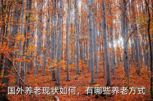 國(guó)外養(yǎng)老現(xiàn)狀如何，有哪些養(yǎng)老方式