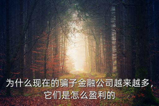 為什么現(xiàn)在的騙子金融公司越來(lái)越多，它們是怎么盈利的