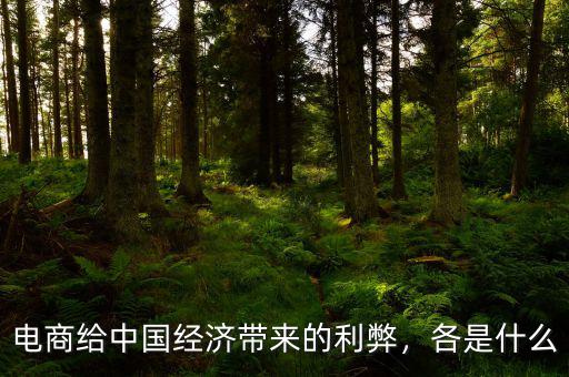 電商給中國經(jīng)濟帶來的利弊，各是什么