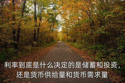 利率到底是什么決定的是儲(chǔ)蓄和投資，還是貨幣供給量和貨幣需求量