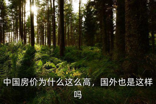 中國房價為什么這么高，國外也是這樣嗎
