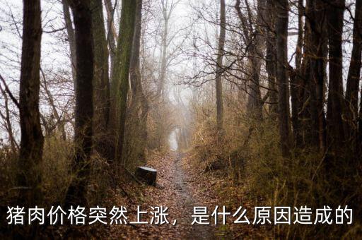 豬肉價(jià)格突然上漲，是什么原因造成的