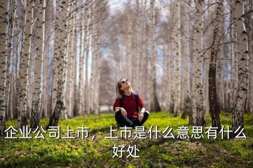 企業(yè)公司上市，上市是什么意思有什么好處