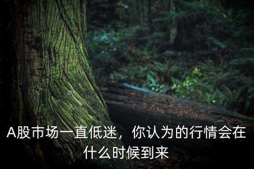 A股市場一直低迷，你認(rèn)為的行情會在什么時候到來