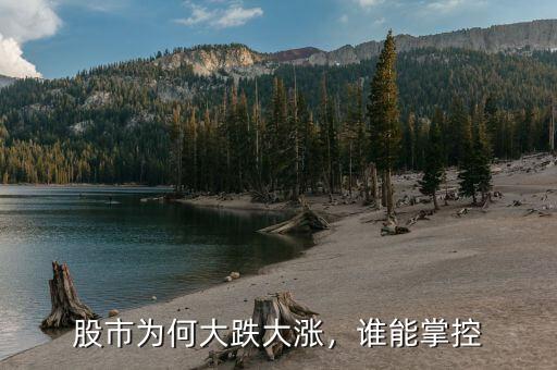 股市為何大跌大漲，誰能掌控