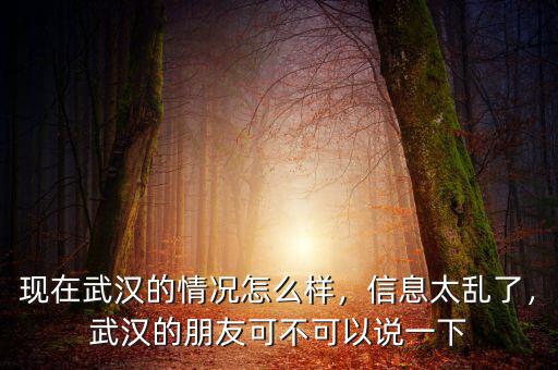 現(xiàn)在武漢的情況怎么樣，信息太亂了，武漢的朋友可不可以說一下