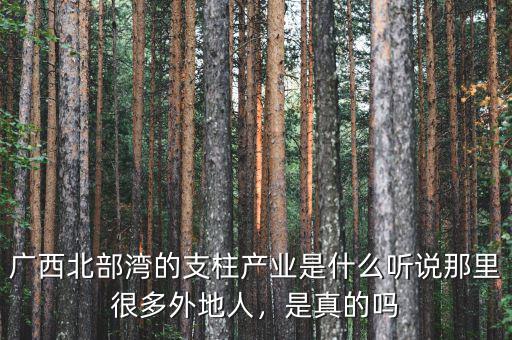 廣西北部灣的支柱產(chǎn)業(yè)是什么聽說那里很多外地人，是真的嗎