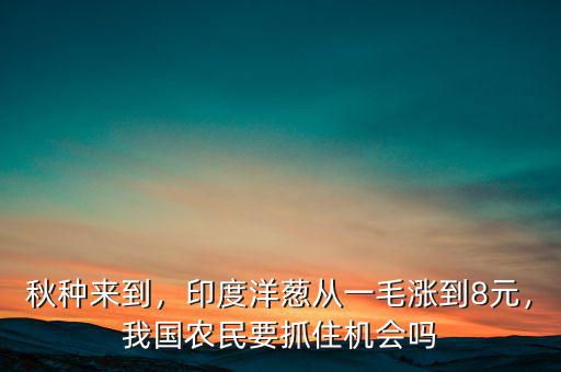 秋種來(lái)到，印度洋蔥從一毛漲到8元，我國(guó)農(nóng)民要抓住機(jī)會(huì)嗎