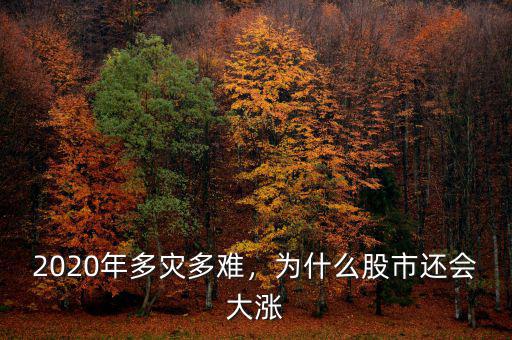 2020年多災(zāi)多難，為什么股市還會(huì)大漲