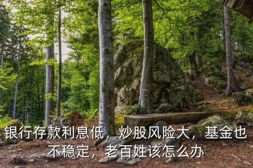 銀行存款利息低，炒股風險大，基金也不穩(wěn)定，老百姓該怎么辦